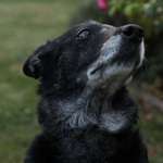 Ersteller:in Lara Profilbild