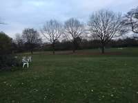 Hundeauslaufgebiet-Pappelsee - Geduldete Hundewiese-Bild