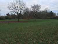 Hundeauslaufgebiet-Pappelsee - Geduldete Hundewiese-Bild