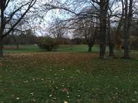 Hundeauslaufgebiet-Pappelsee - Geduldete Hundewiese-Bild