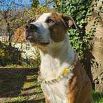 Ersteller:in Melina Profilbild