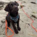 Ersteller:in Katharina Profilbild