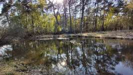 Hundeauslaufgebiet-Ohligser Heide-Bild