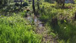 Hundeauslaufgebiet-Ohligser Heide-Bild