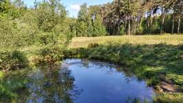 Hundeauslaufgebiet-Ohligser Heide-Bild