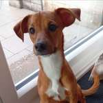 Ersteller:in Hanna Profilbild