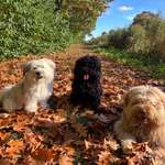 Ersteller:in Markus Profilbild