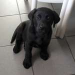 Ersteller:in Petra Profilbild