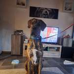 Ersteller:in Jacky Profilbild