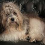 Ersteller:in Waltraud Profilbild