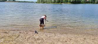 Hundeauslaufgebiet-Xantener Südsee-Bild