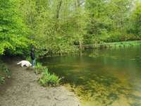 Hundeauslaufgebiet-Huntsteert-Bild