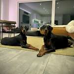 Ersteller:in Alena Profilbild