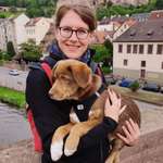 Ersteller:in Navi Profilbild