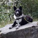 Ersteller:in Manuel Neumann & Profilbild