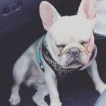 Ersteller:in Elias Profilbild