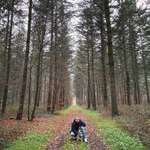 Ersteller:in Daniel Profilbild