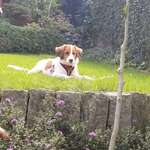 Ersteller:in Claudia Profilbild