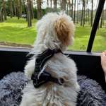 Ersteller:in nadin Profilbild