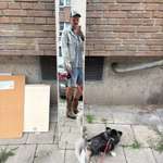 Ersteller:in thomas Profilbild