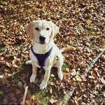 Ersteller:in Paktima Profilbild