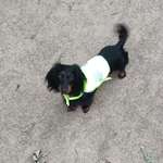 Ersteller:in Denise Profilbild