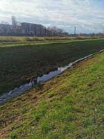 Hundeauslaufgebiet-Niedersedlitzer Flutgraben-Bild