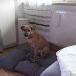 Ersteller:in Brigitte Profilbild