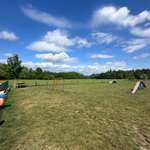 Hundeauslaufgebiet-Hundewiese Verau-Bild