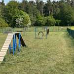 Hundeauslaufgebiet-Hundewiese Verau-Bild