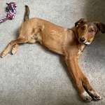 Ersteller:in Marta Profilbild