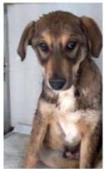 Suchmeldung-Tivo-Bild