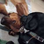 Ersteller:in Melanie Profilbild