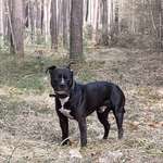 Ersteller:in Janine Profilbild