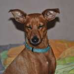 Ersteller:in Fabienne Profilbild