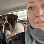 Ersteller:in Ricarda Profilbild