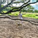 Ersteller:in Sarah Profilbild