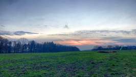 Hundeauslaufgebiet-Gimbacher Hof / Gundelhard-Bild