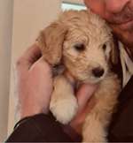 Ersteller:in Niki&Danny Profilbild