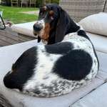 Ersteller:in Alex Profilbild