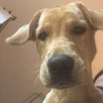 Ersteller:in Lucy Profilbild