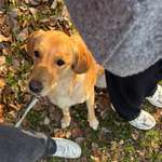 Ersteller:in Lucy Profilbild