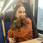 Ersteller:in margarita Profilbild