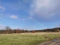 Hundeauslaufgebiet-Alte Bult-Bild