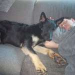 Ersteller:in Ringo Profilbild