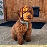 Ersteller:in Tina Profilbild