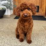 Ersteller:in Tina Profilbild