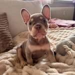 Ersteller:in Kristina Profilbild