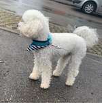 Ersteller:in Christian Profilbild