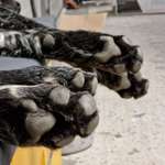 Ersteller:in Juri Profilbild